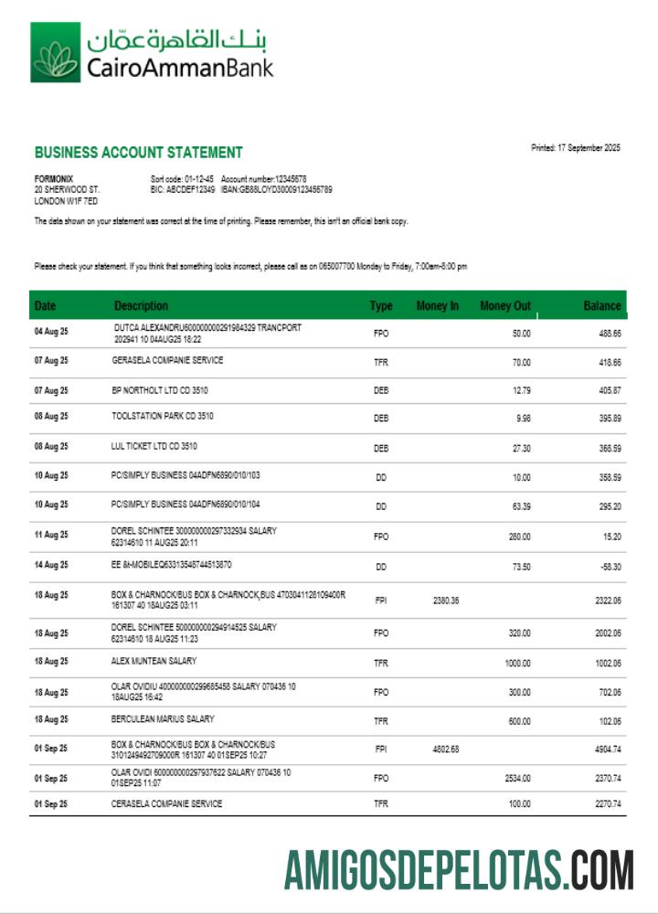 Baixável Cairo Amman Bank Organization Checking modelo de extrato de conta Word e PDF